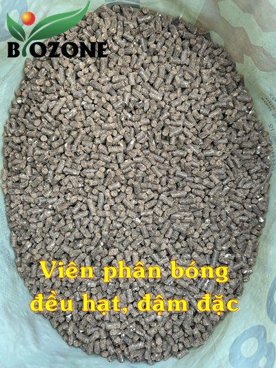 Phân hữu cơ Hàn Quốc con ong 