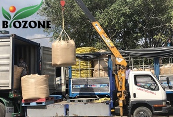 Giao phân gà túi Jumbo Tây Nguyên