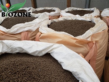 Phân gà Nhật Bản túi Jumbo